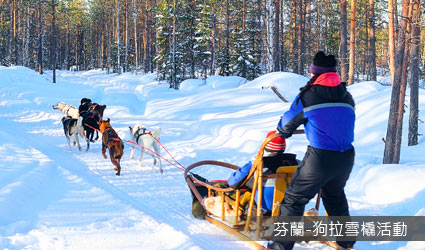 北歐極光-狗拉雪橇